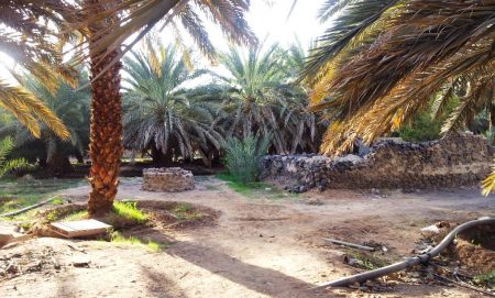 Masjid al-Tawba